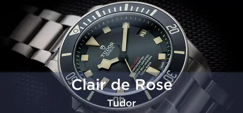  Clair de Rose Tudor